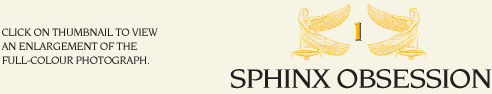 Sphinx Obsession